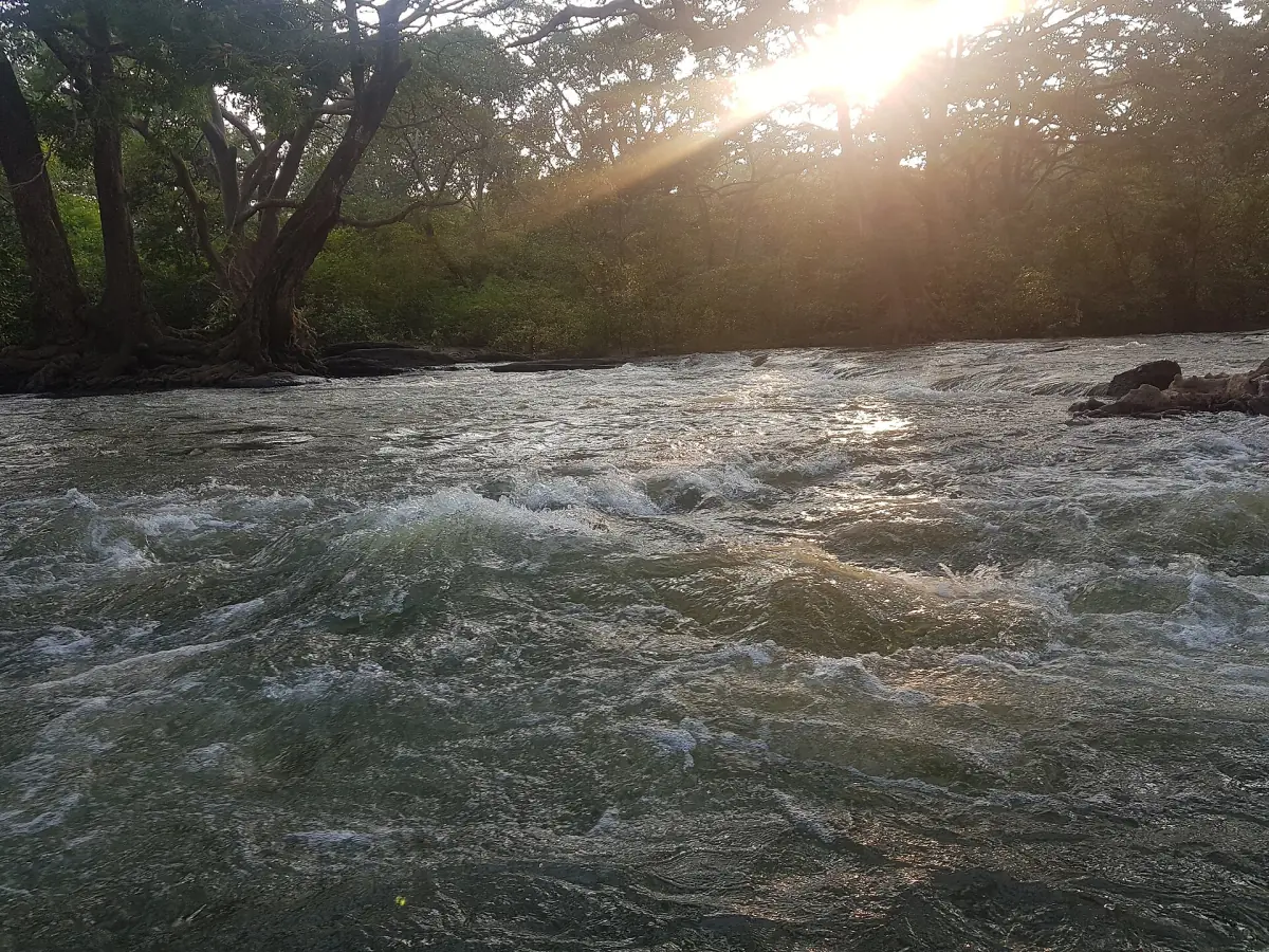 The Menik Ganga river at Kataragama in morning light