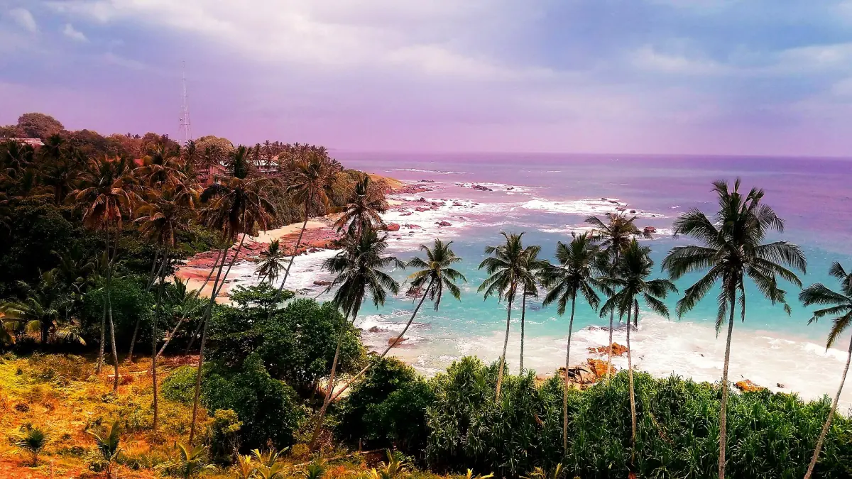 Evening light over the coast at Tangalle