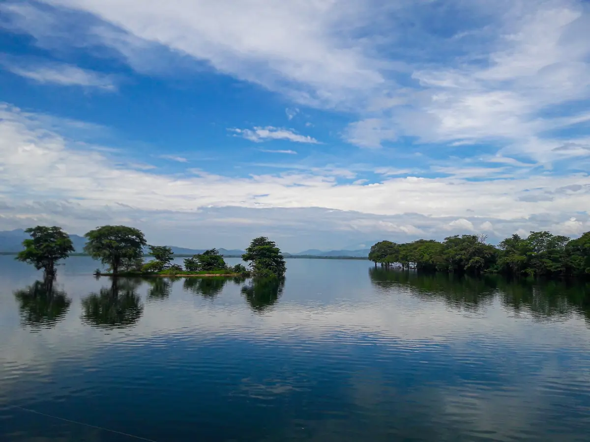 Trees reflected in the Udawalawe Reservoir