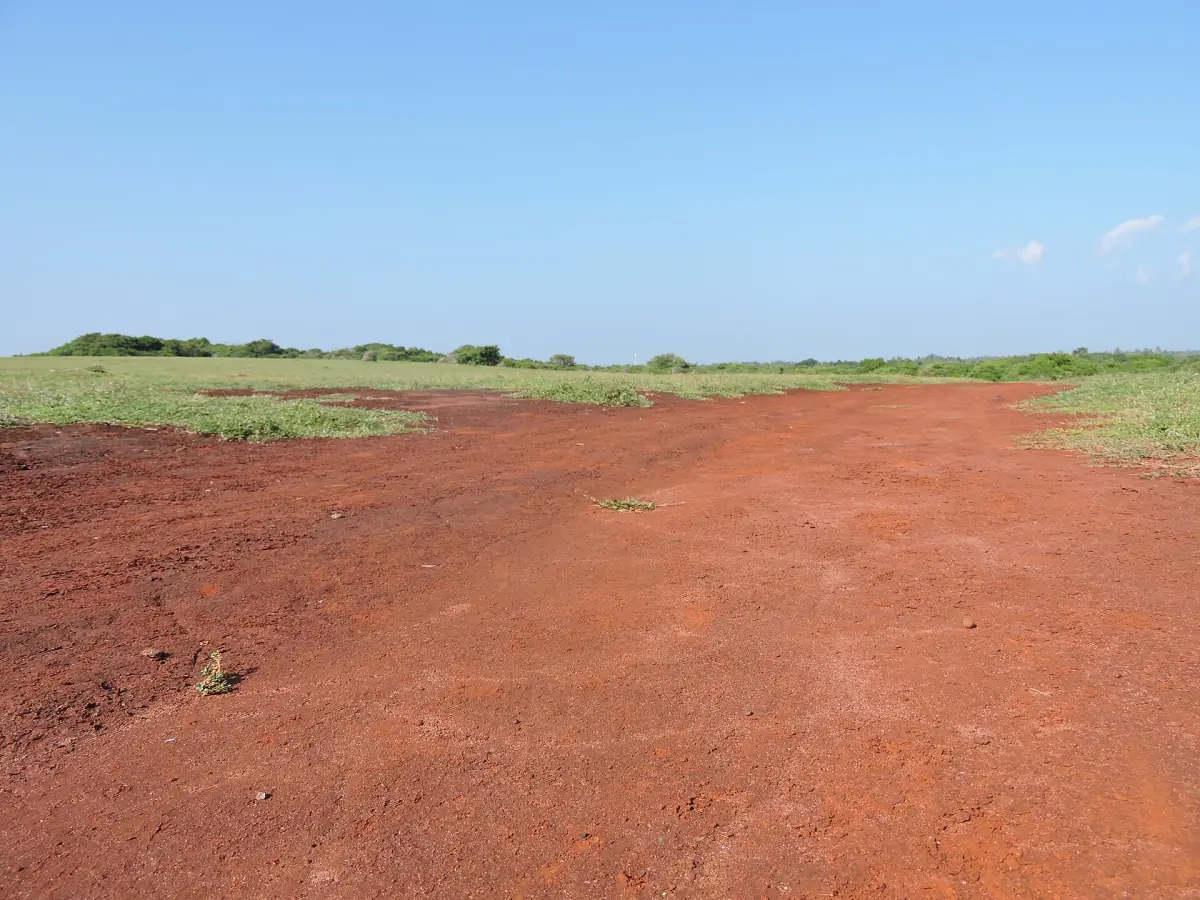 Red soil on the plateau at Ussangoda